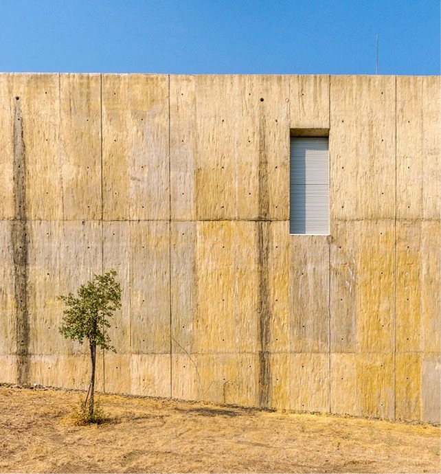 Art Archaeology Museum