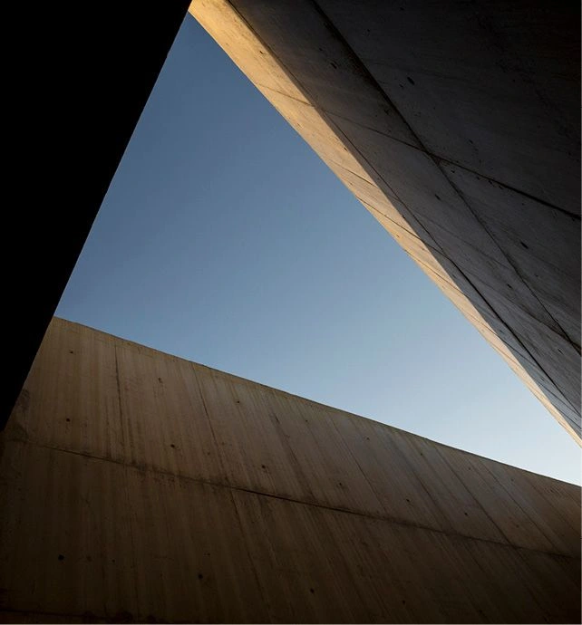 Art Archaeology Museum
