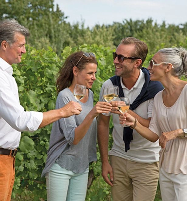 France Excursion Vineyard