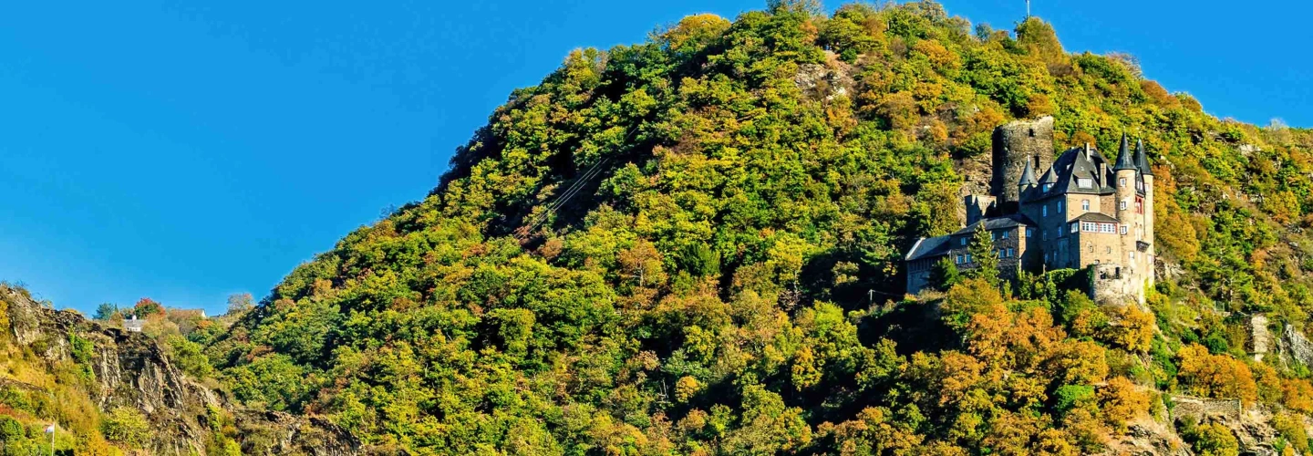 Rheinstein Castle Trechtingshausen