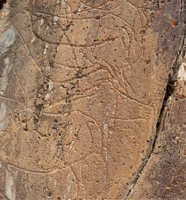 Rock Art Site Coa Valley