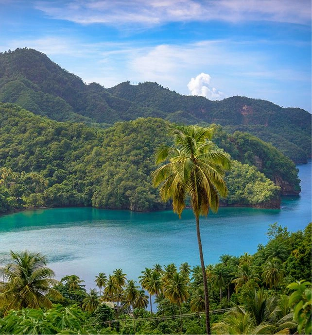 St Vincent & the Grenadines