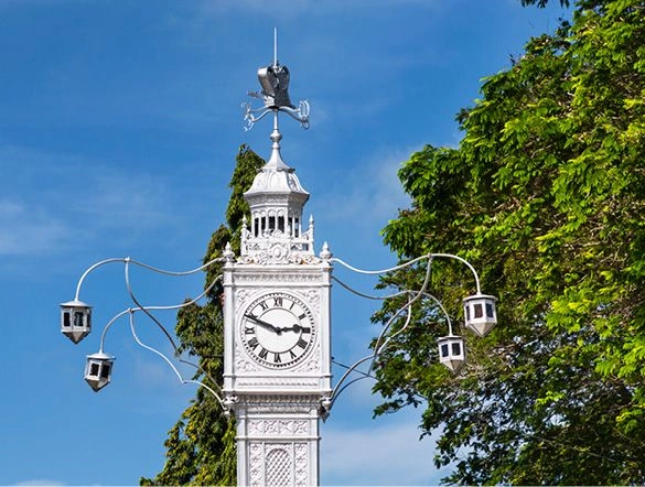 A white clock tower surrounded by blue sky and luscious green trees.