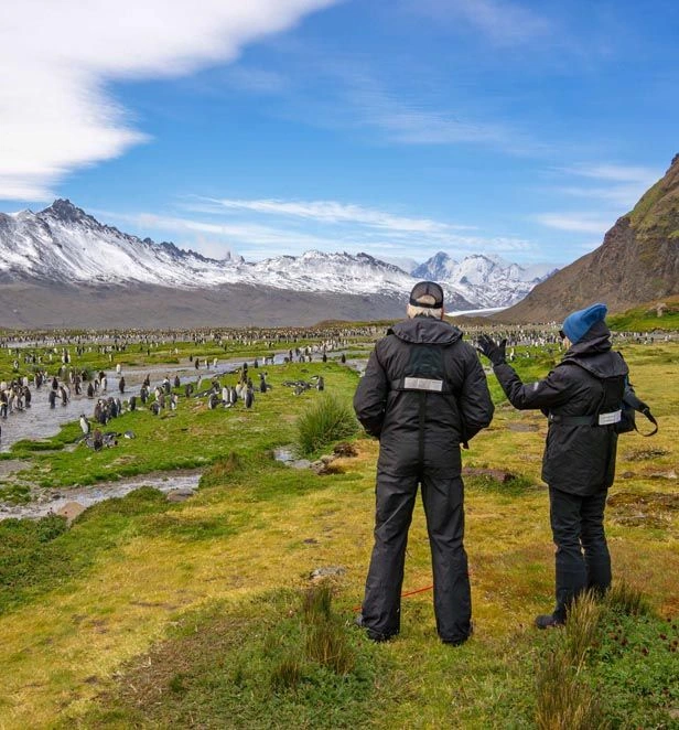 Fortuna Bay, South Georgia