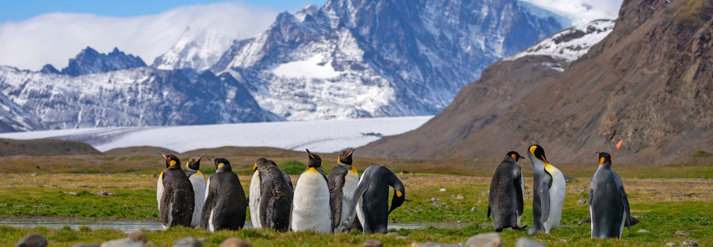 FORTUNA BAY SOUTH GEORGIA