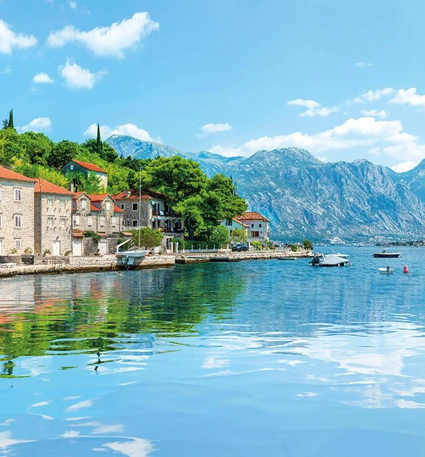 Kotor