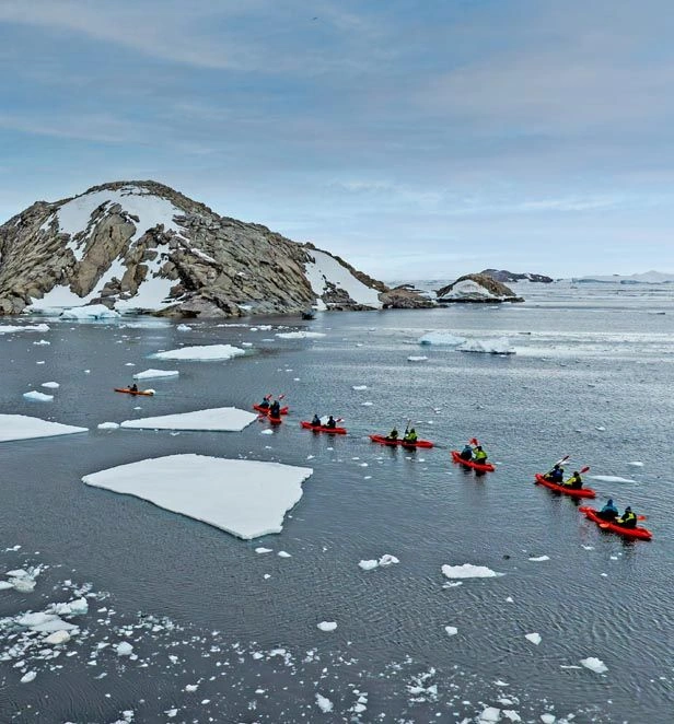 Kayak Penguin Point Watt Bay