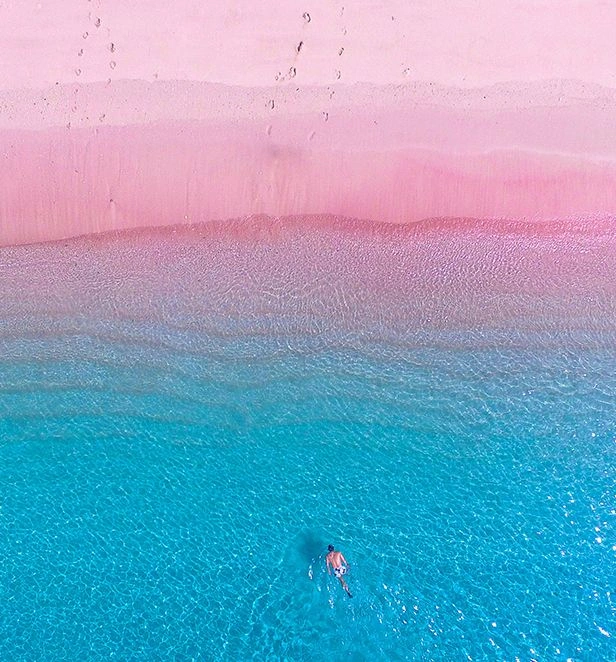 Pink Beach Komodo Island Indonesia