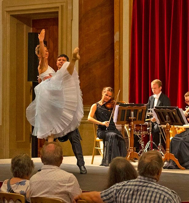 Enrich Concert Palais Lichtenstein Austria