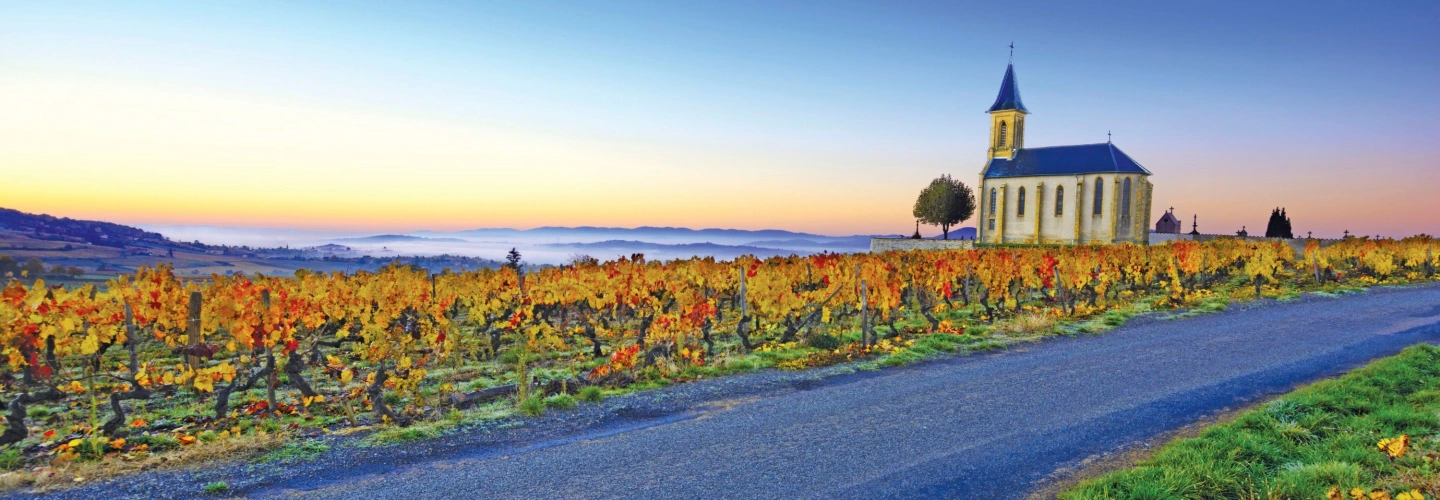 Freechoice Beaujolais Region Oingt France