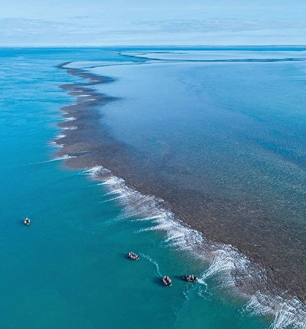 Montgomery Reef