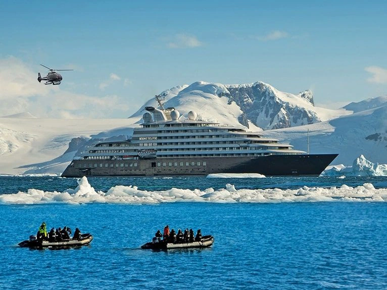 Antarctica Peninsula, Paulet Island 