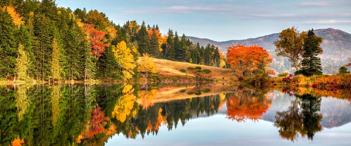 Autumn Foliage