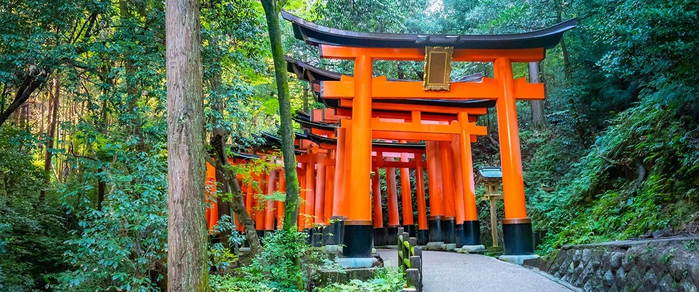 Torii Gates, Kyoto, Japan