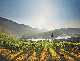 Scenic Jasper cruising past vineyards and green mountains on a sunny day in the Moselle Valley. Germany