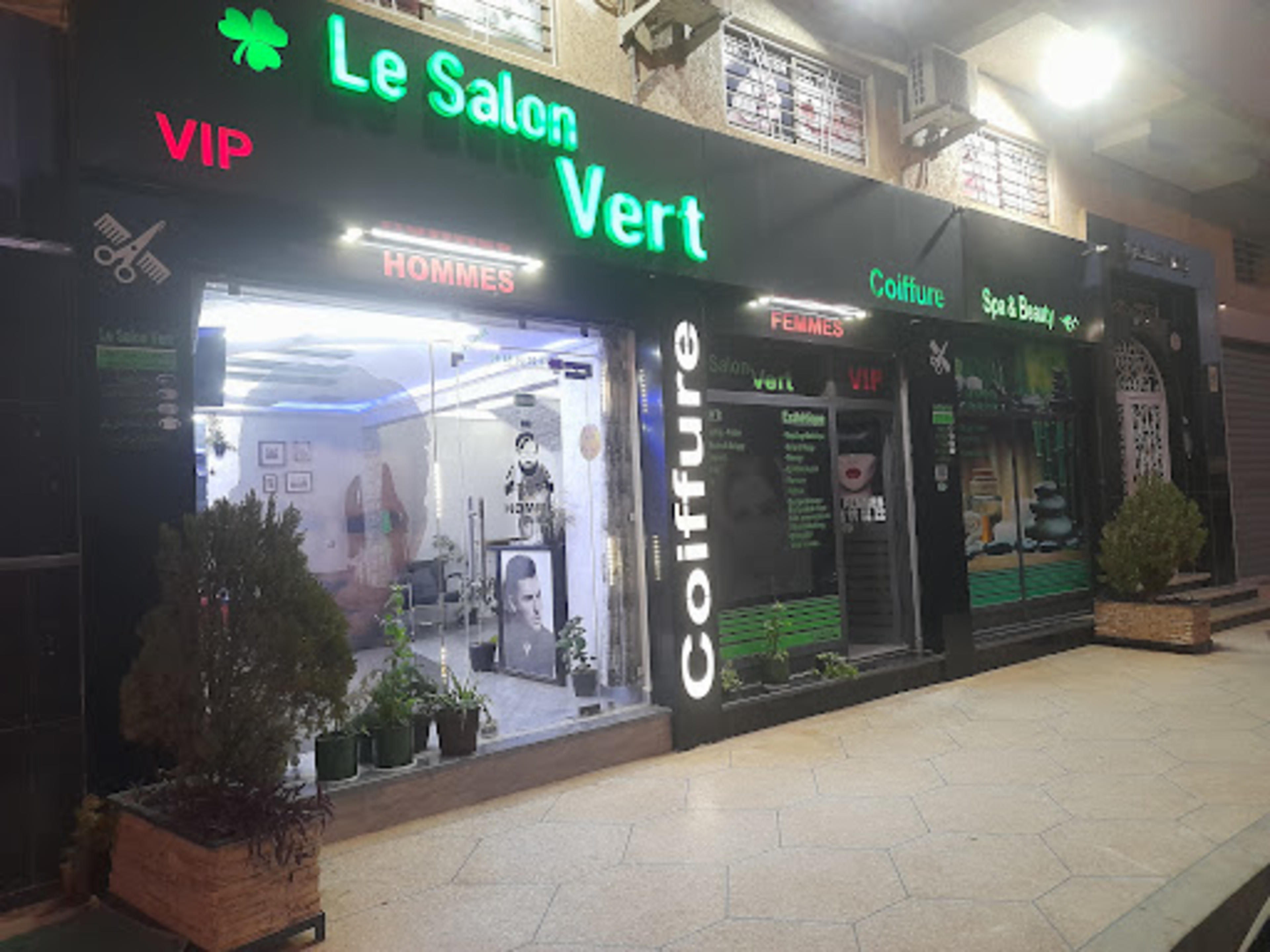 Le Salon Vert - logo