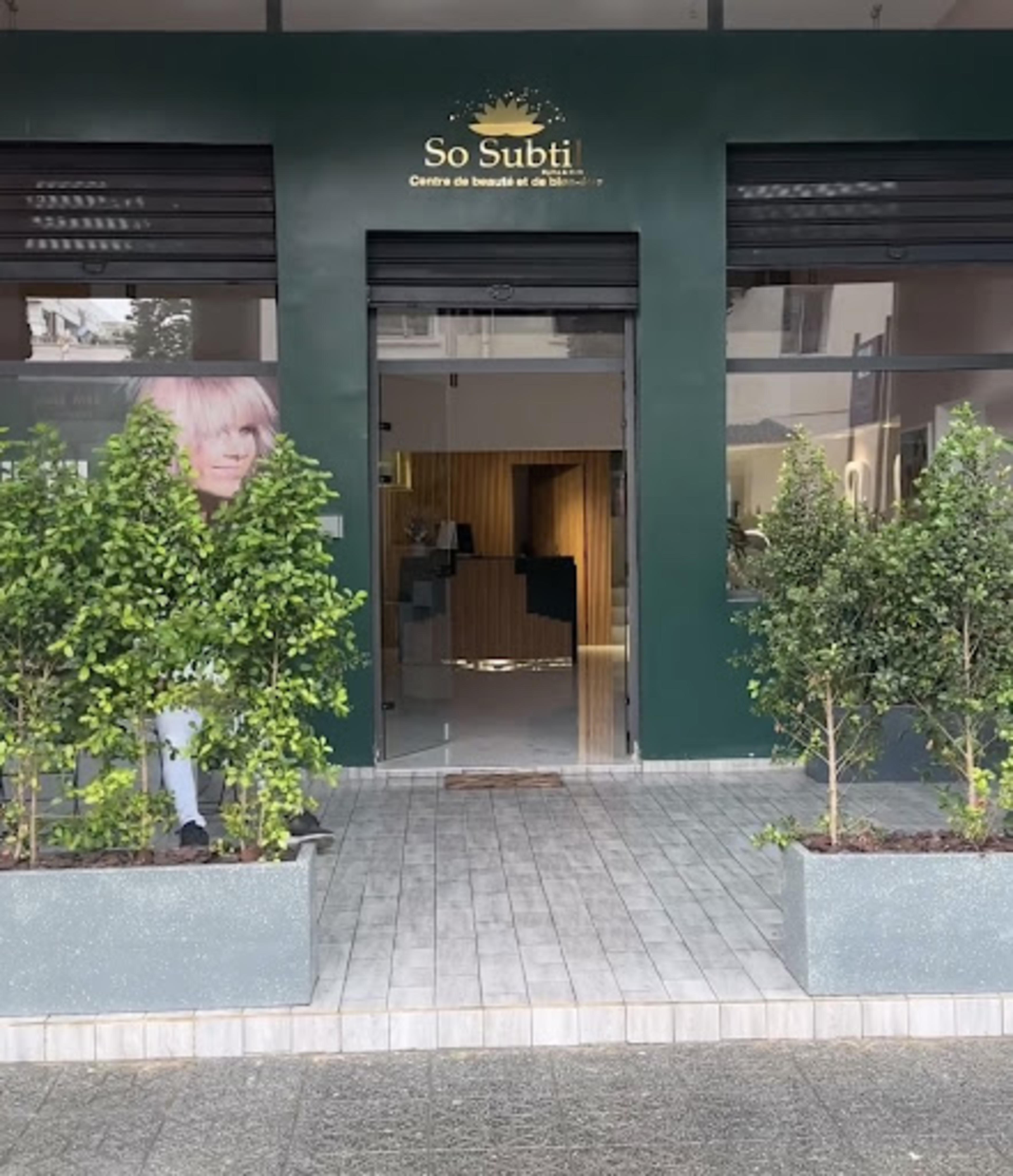 So Subtil - logo