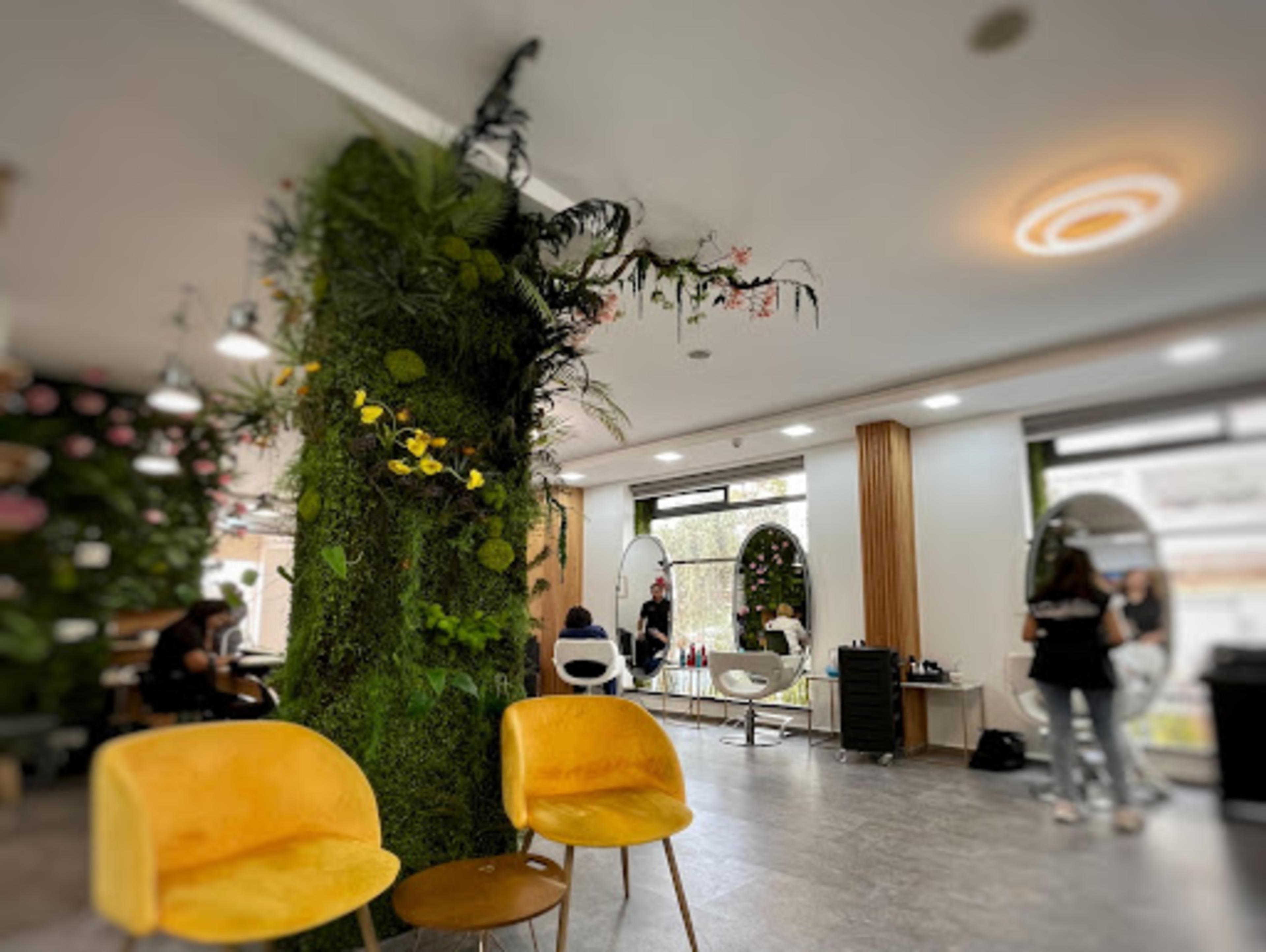 Salon Zen Mahaj - logo