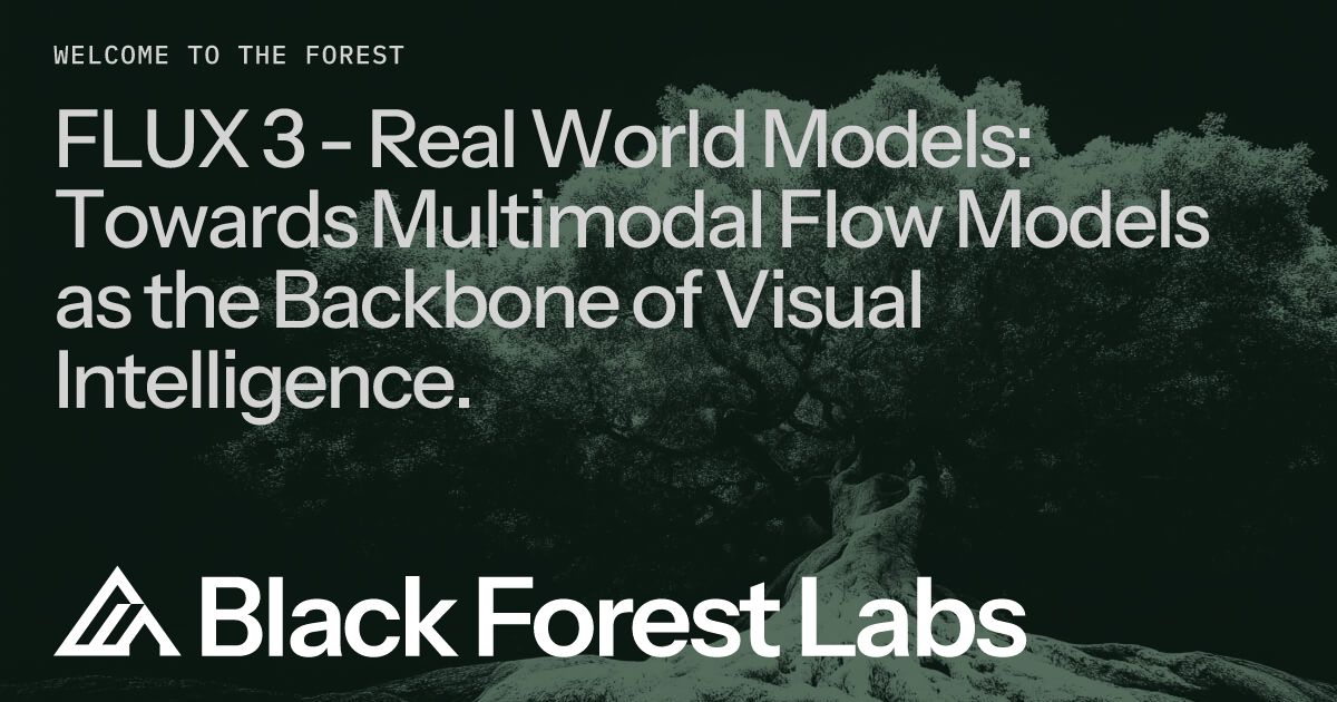 FLUX 3 - Real World Models: Towards Multimodal Flow Models as the Backbone of Visual Intelligence.