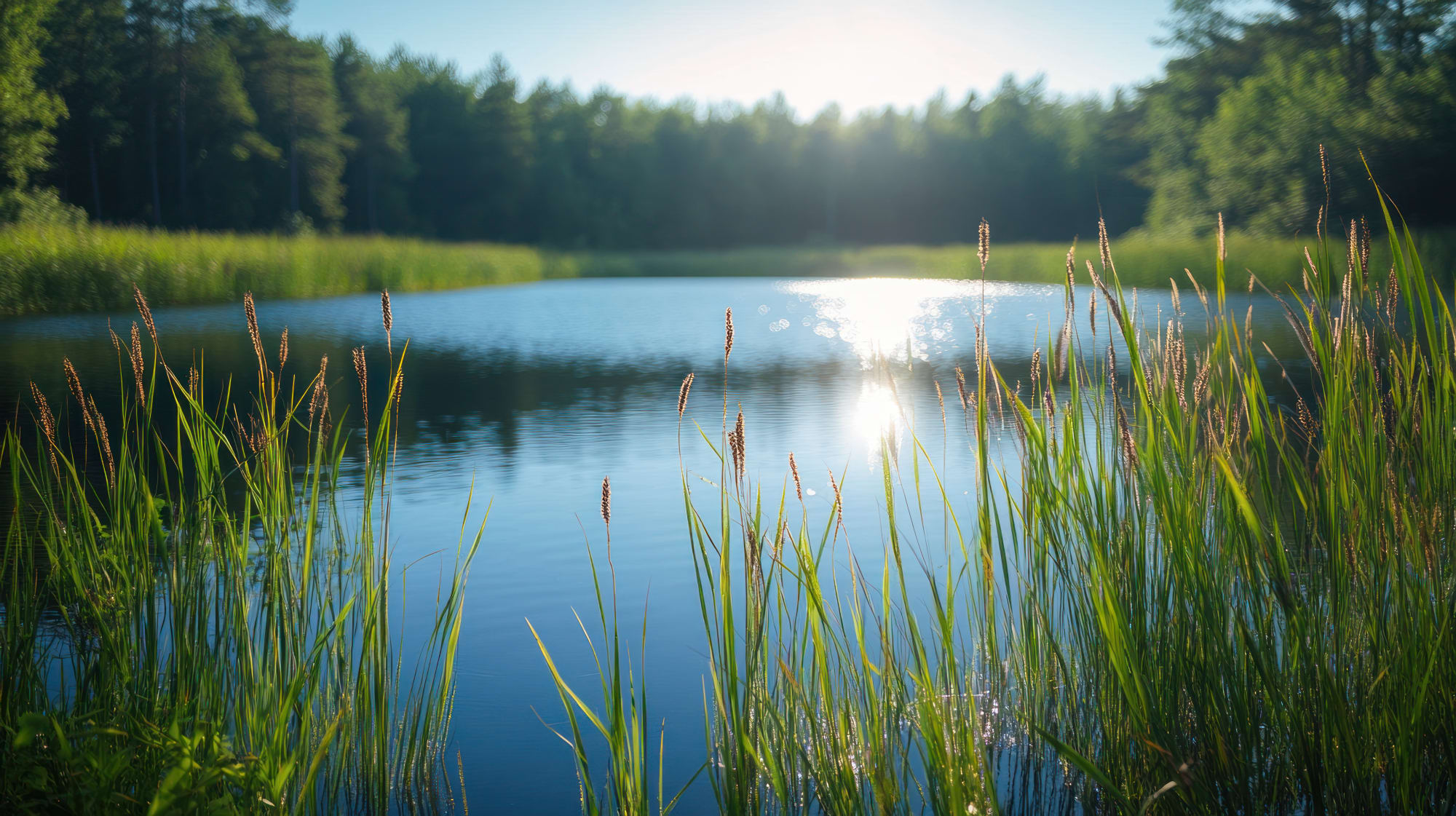 tranquil lake surrounded by mountains