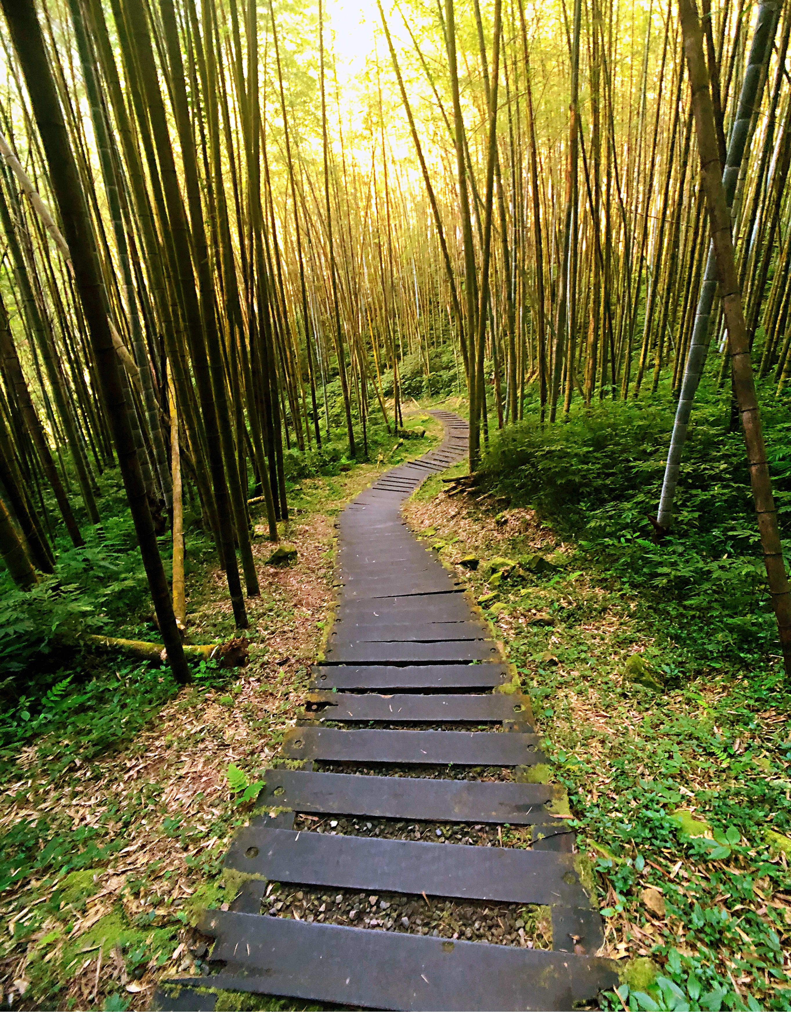 family consulting session