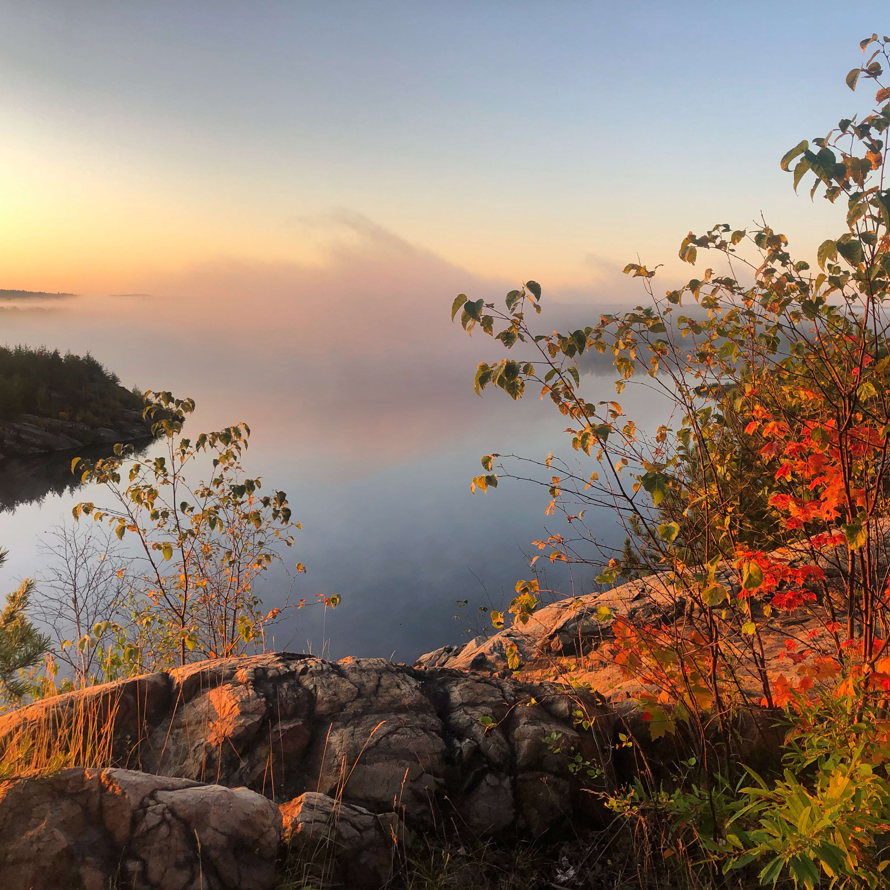 sunset over rocks and plants