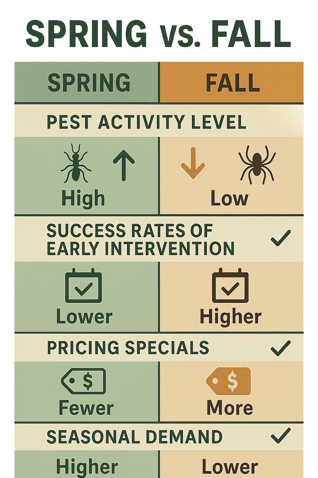 Why Timing Your Carpet Beetle Treatment Makes a Difference in Sandy Springs