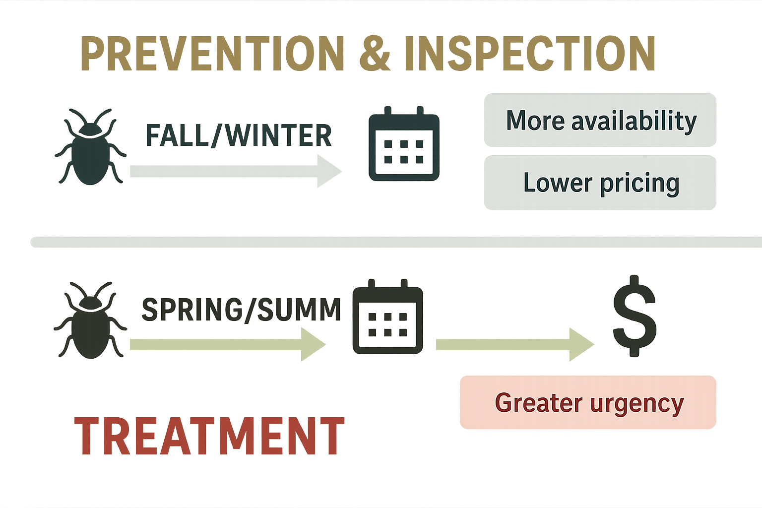 Carpet Beetle Inspection Alpharetta 