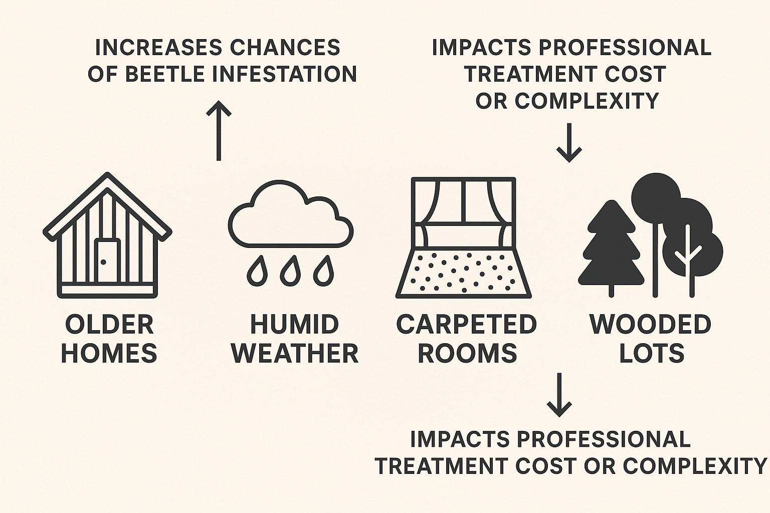 Keep Carpet Beetles Out of Your Suwanee Home