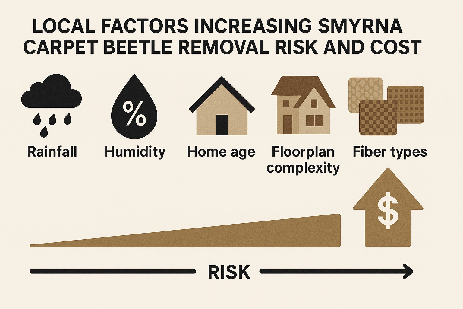 Easy Ways to Keep Carpet Beetles Out of Your Smyrna Home