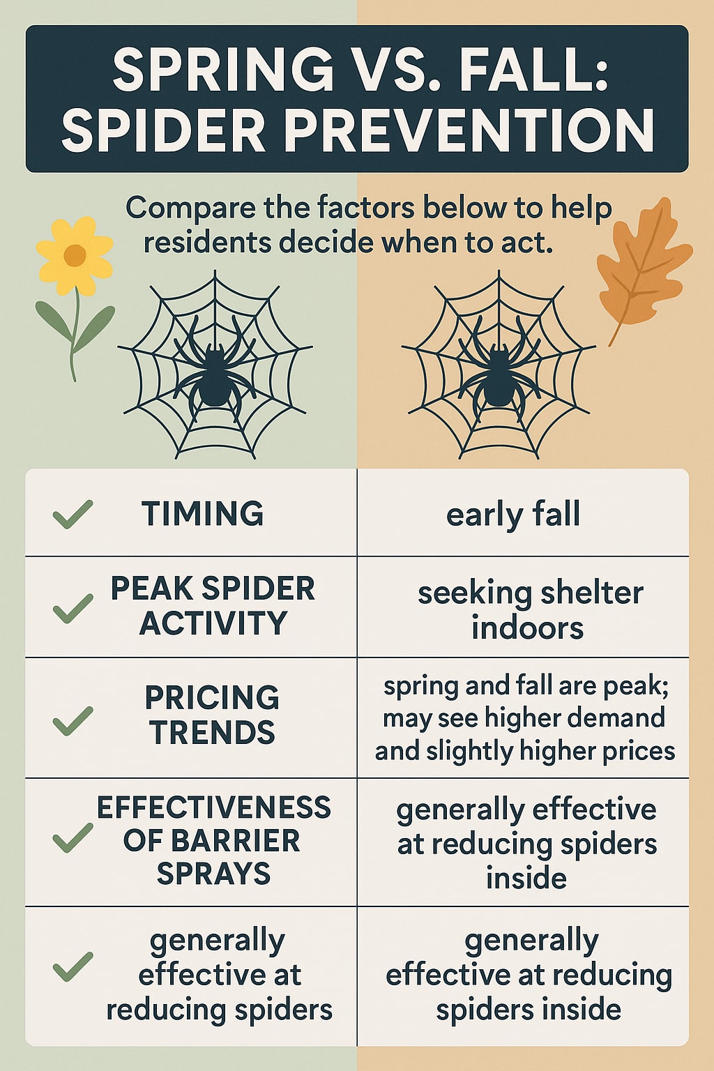 Schedule Spider Control in Peachtree City