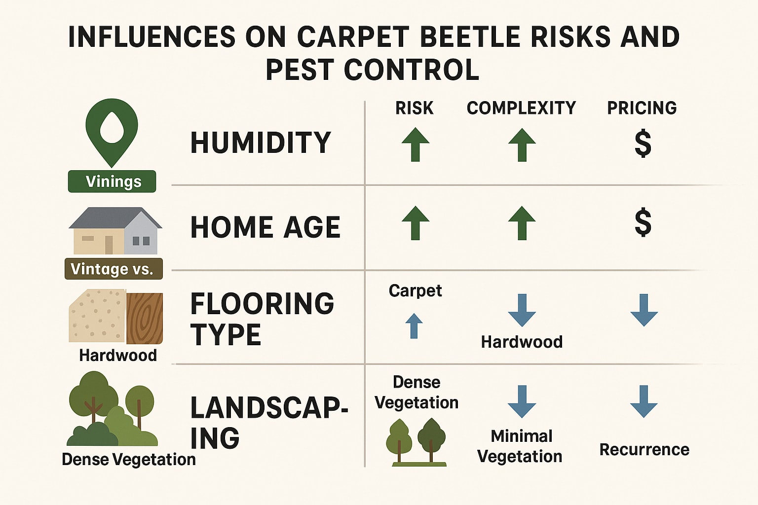 Carpet beetle infestation and pest control in Vinings homes