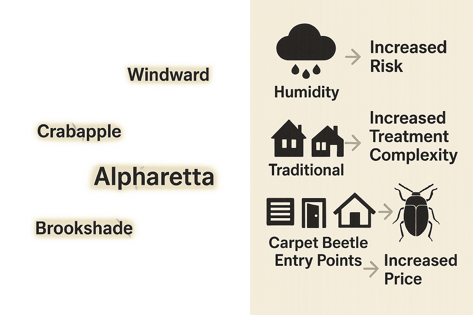 Keep Carpet Beetles Off Your To-Do List