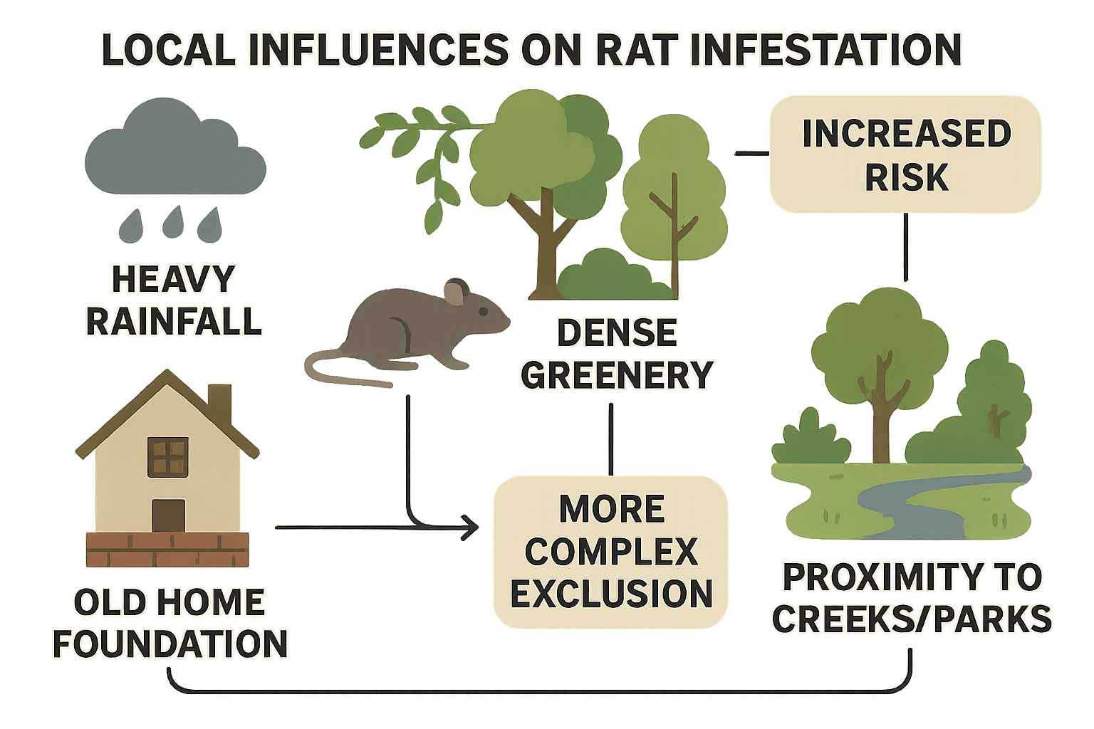 Local influences on rat infestation in Johns Creek