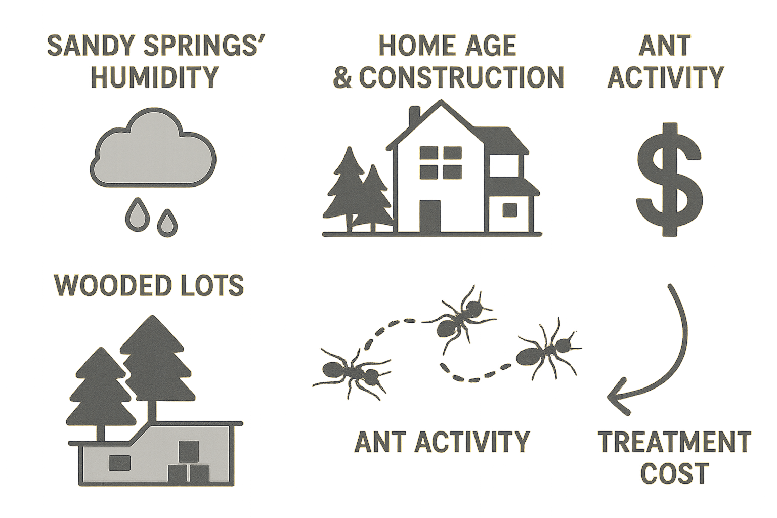 Keep Ants Out and Your Wallet Happy in Sandy Springs