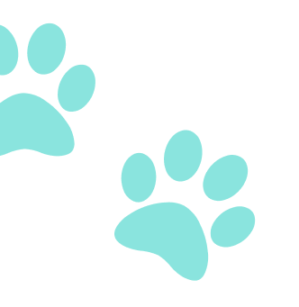 Paw Prints