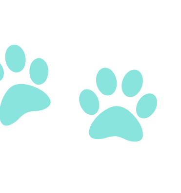 Paw Graphic
