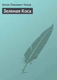 голубая обложка книги Зелёная Коса