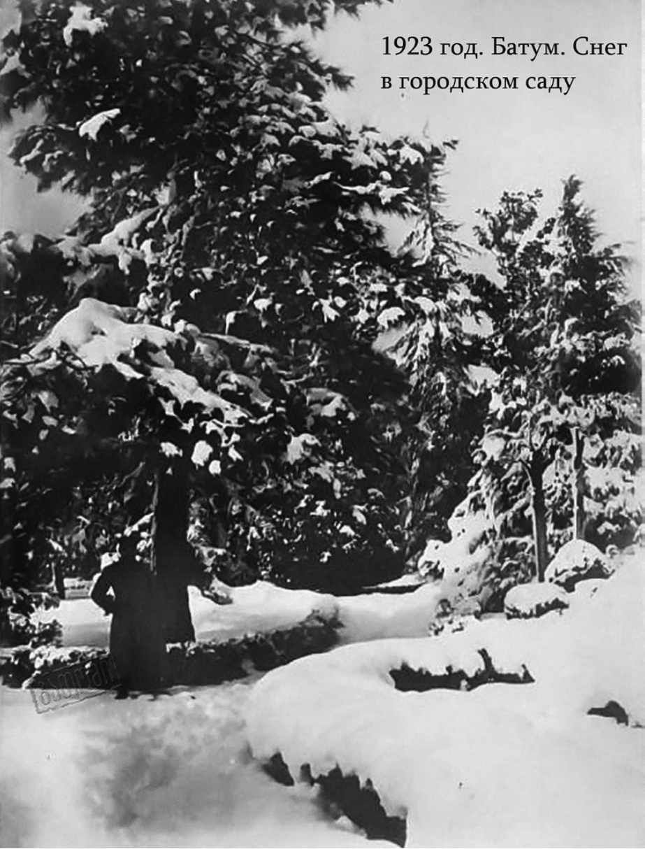 1923 год. Батум. Снег в городском саду