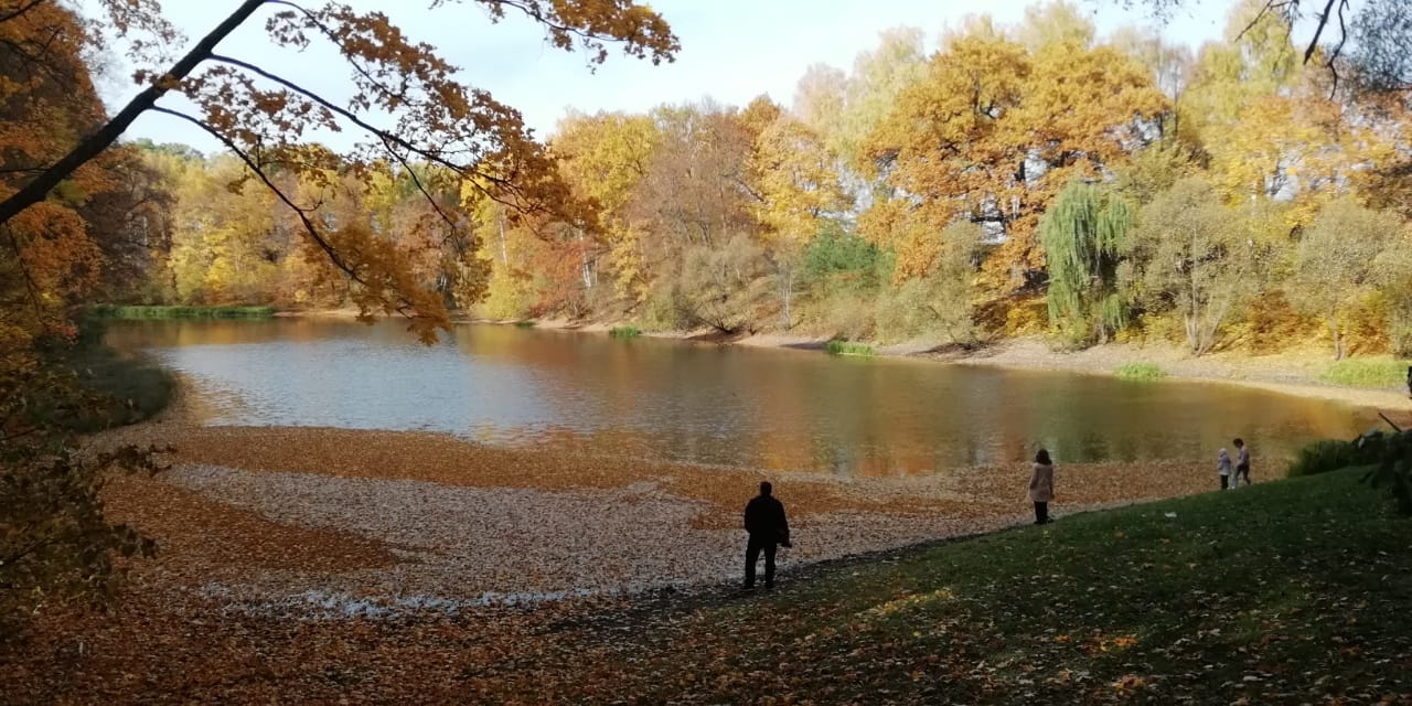 тизер-2 осенние озеро