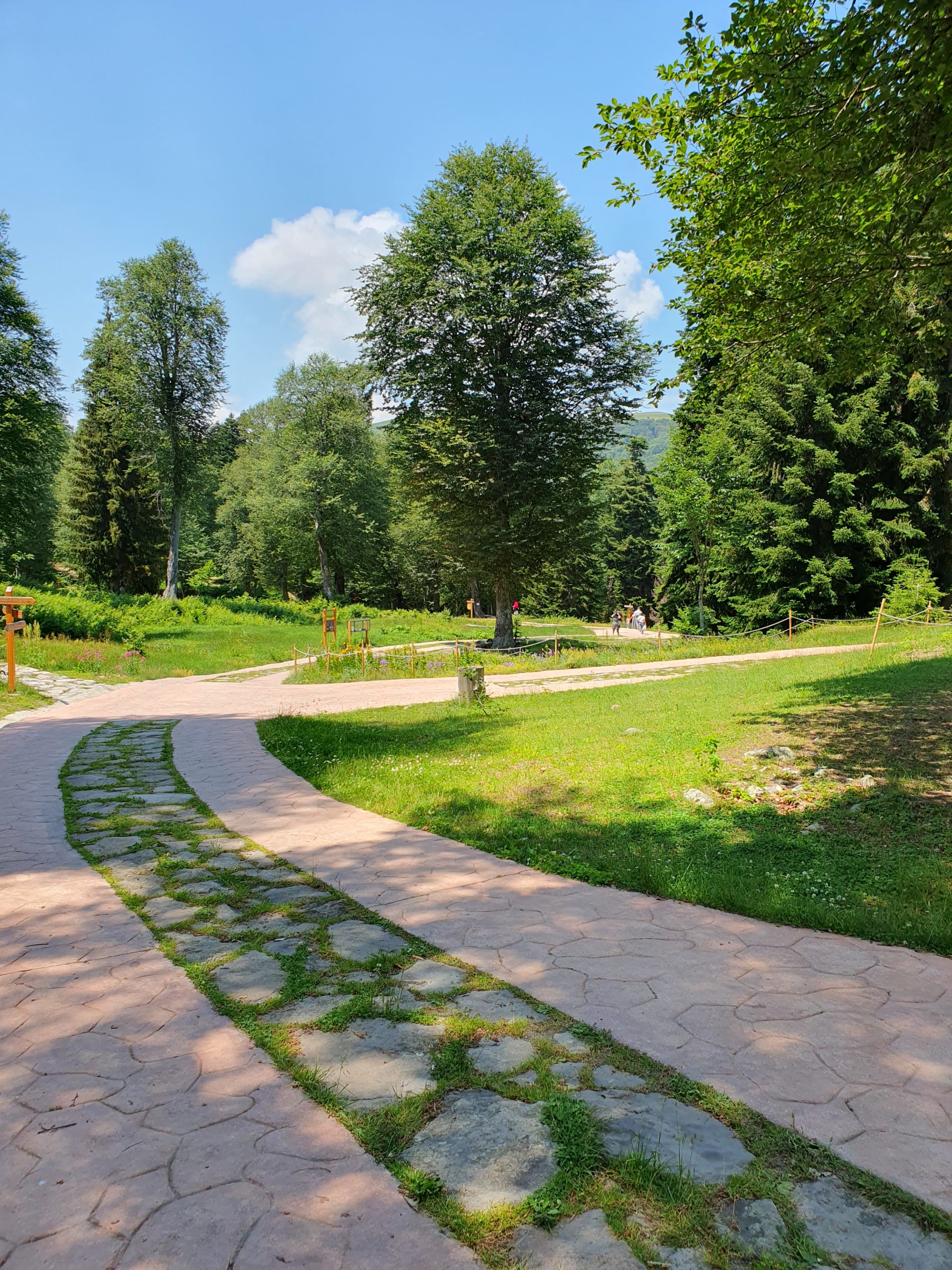 каменная дорога в парке