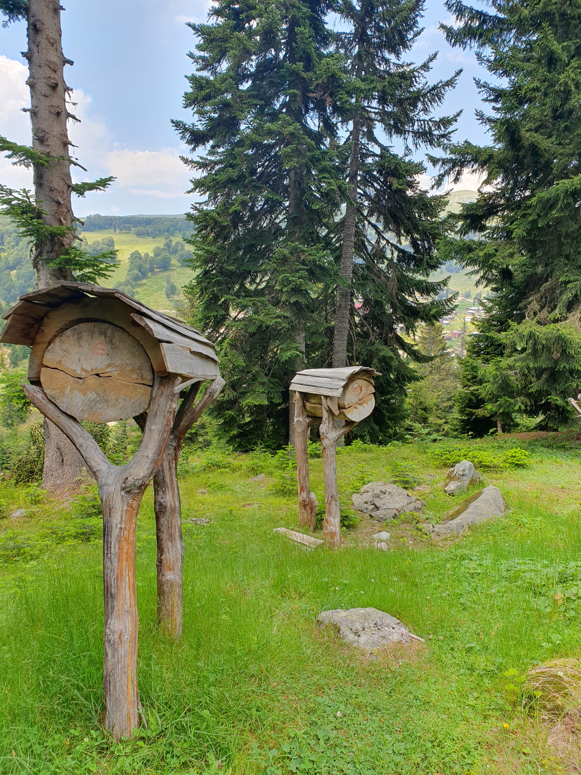 самодельные ульи из дерева