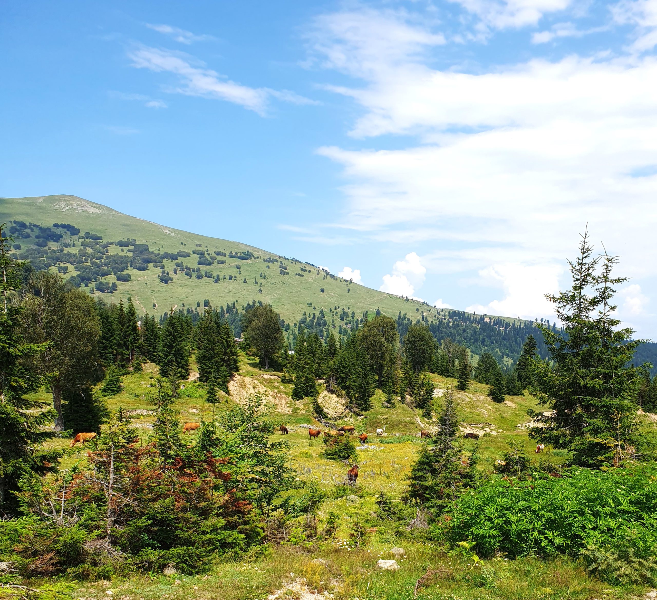 teaser for Что там наверху