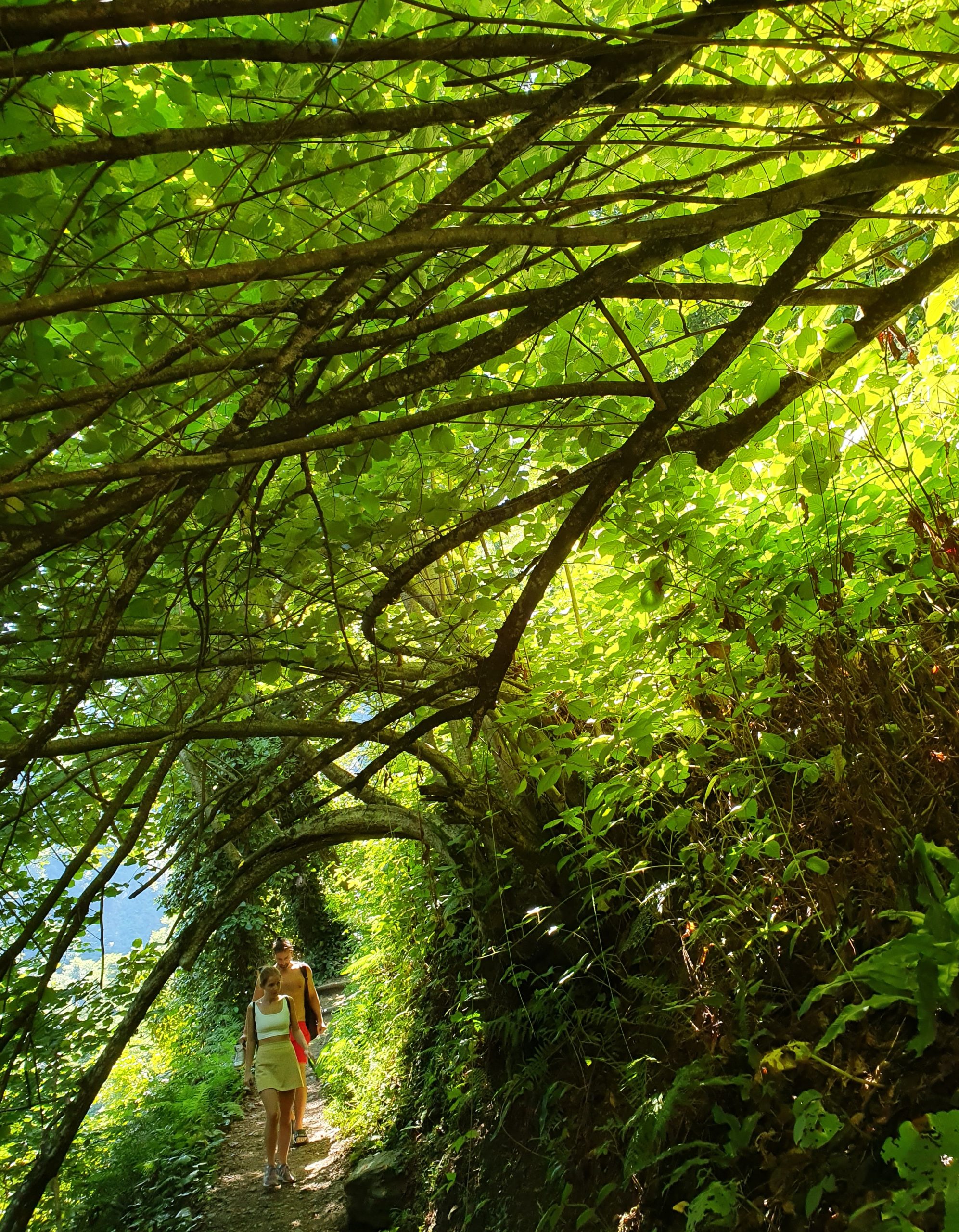 посетители идущие по тропе парка