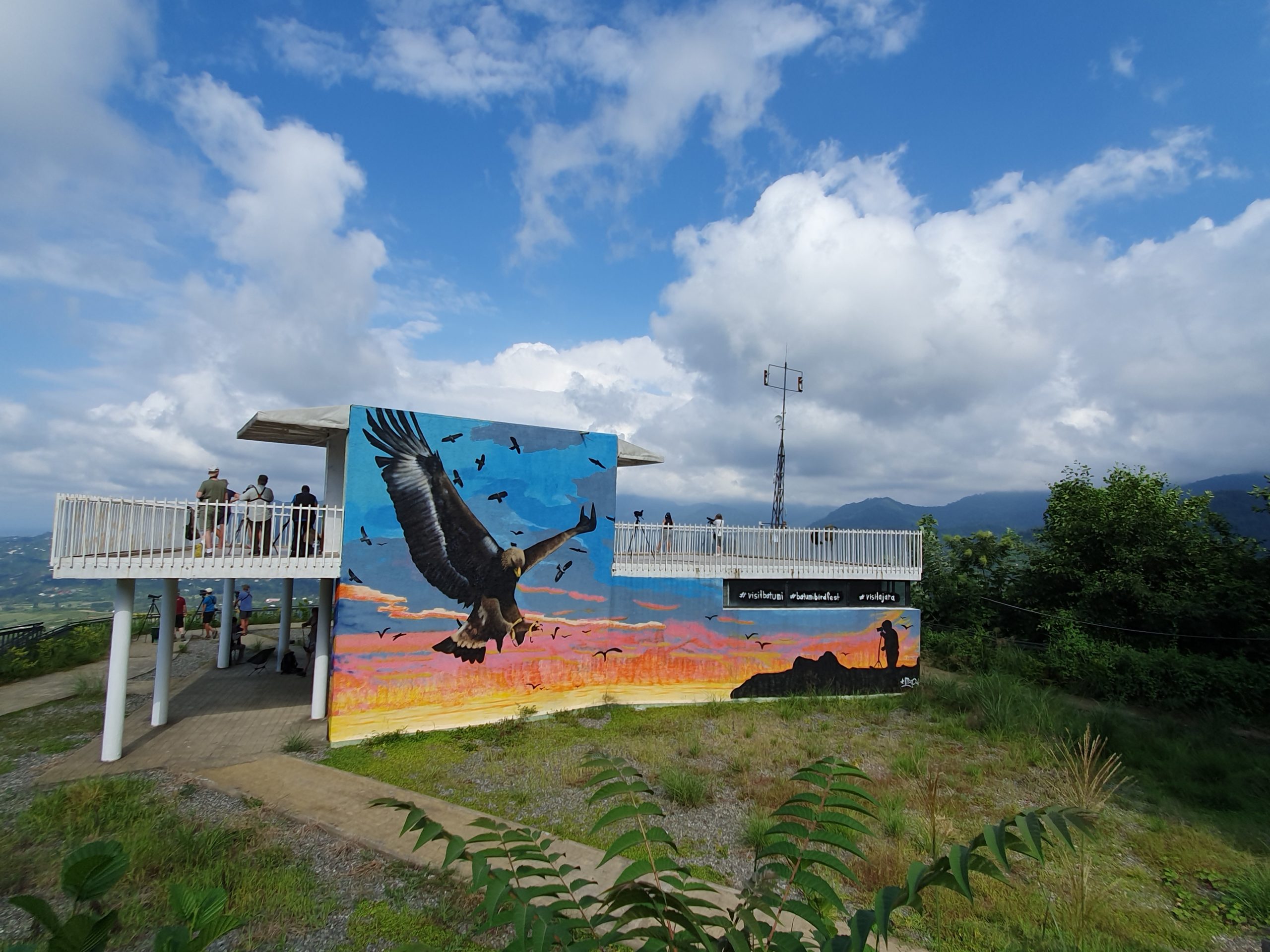 вид на смотровую площадку с рисунком птиц