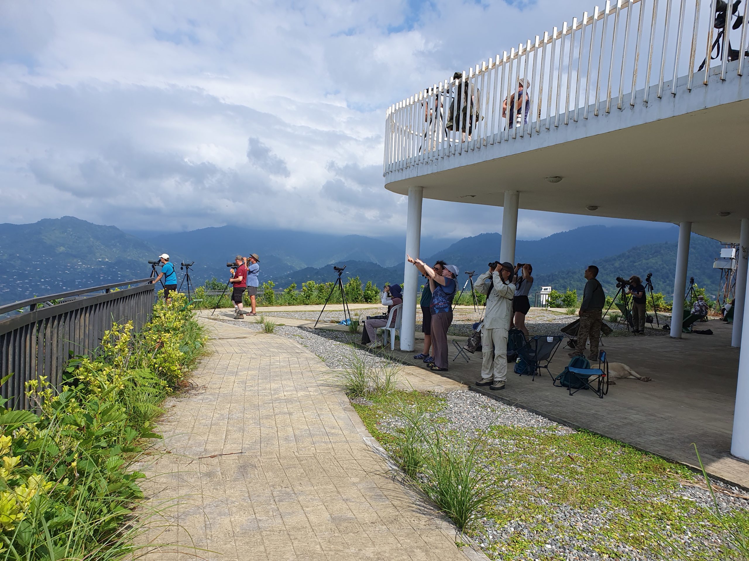 Наблюдатели на площадки