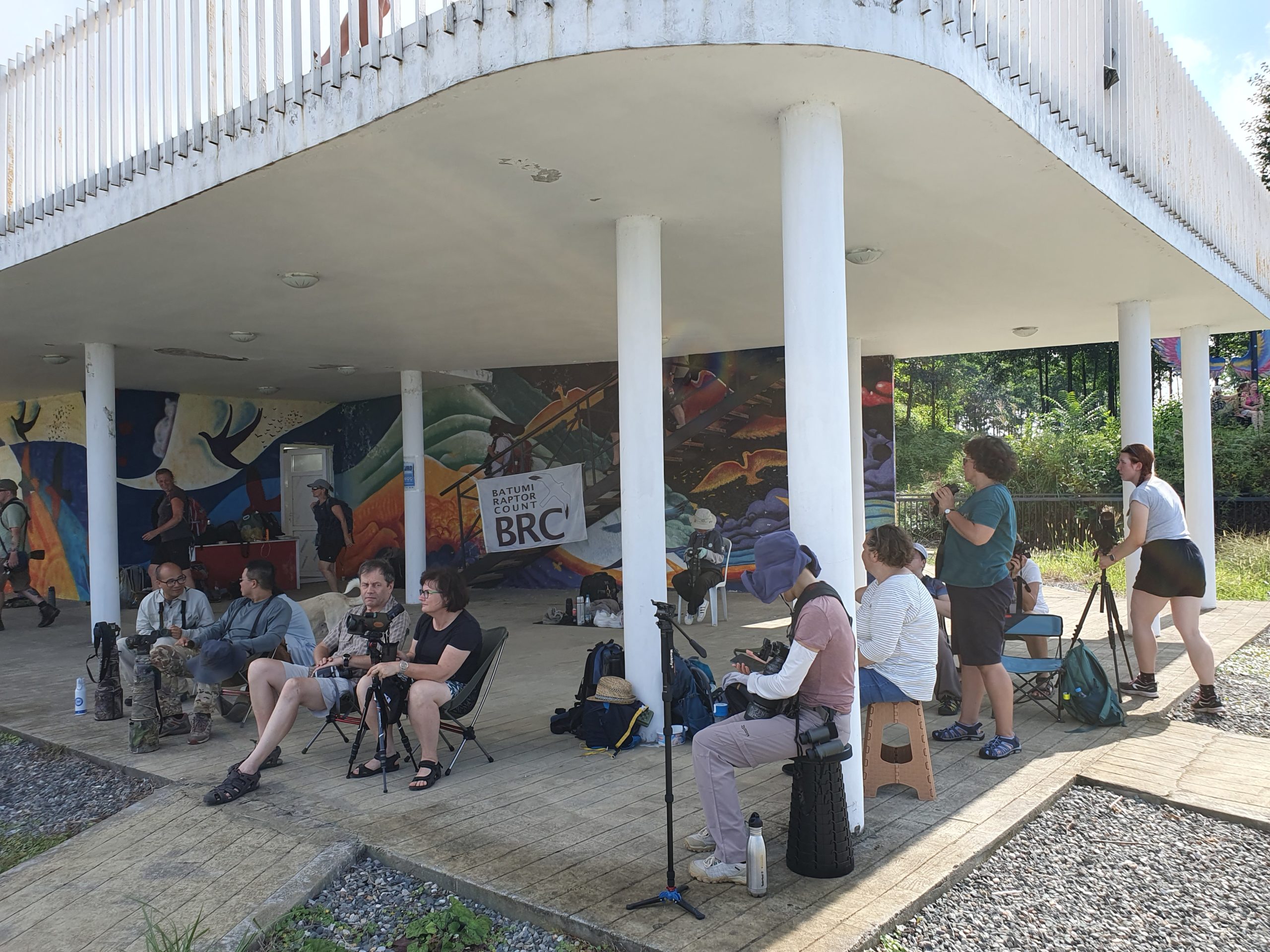 наблюдатели на площадки