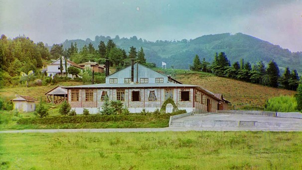 вид на чайную фабрику в Чакви, 1912 год