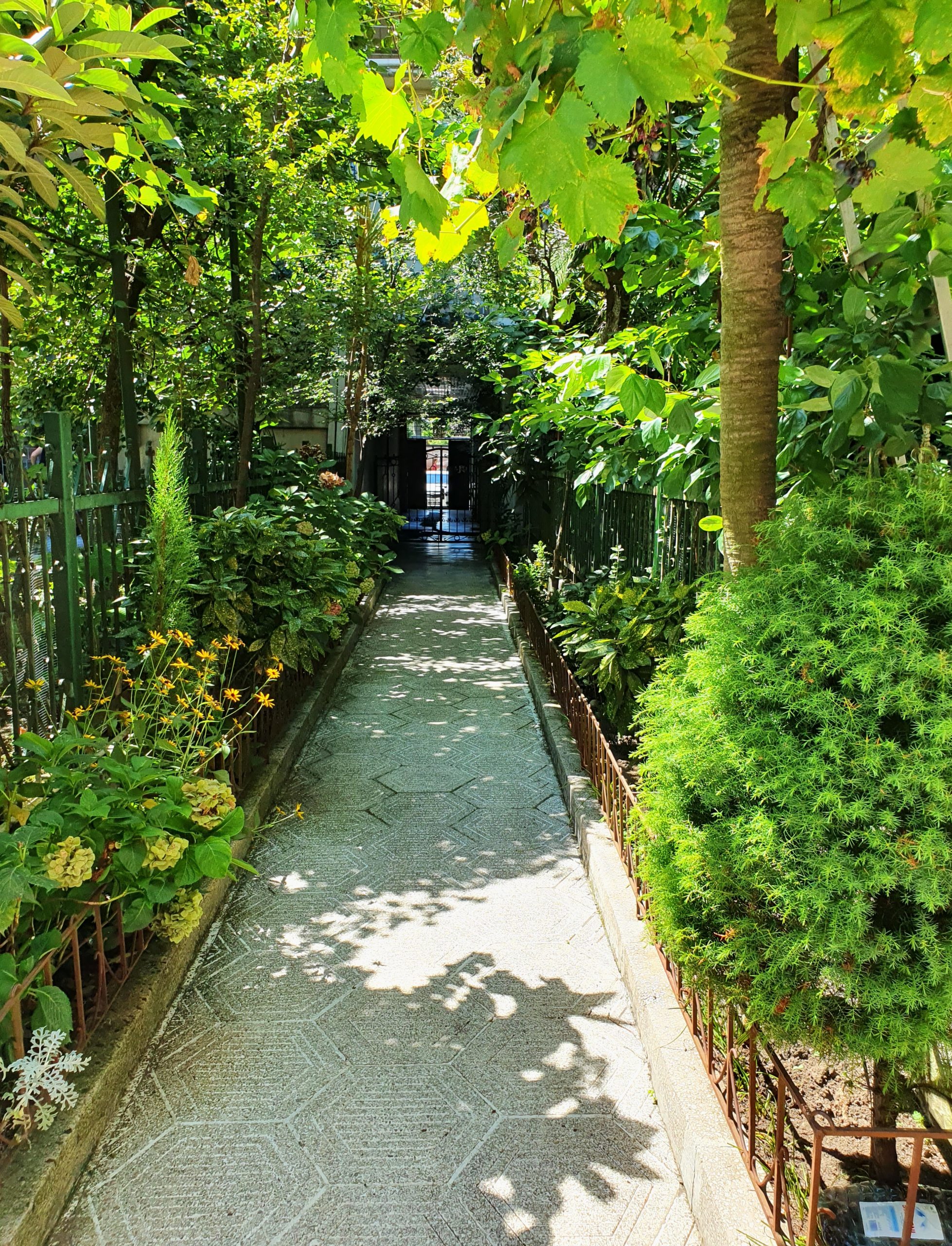 сад во дворе дома, где жил Есенин