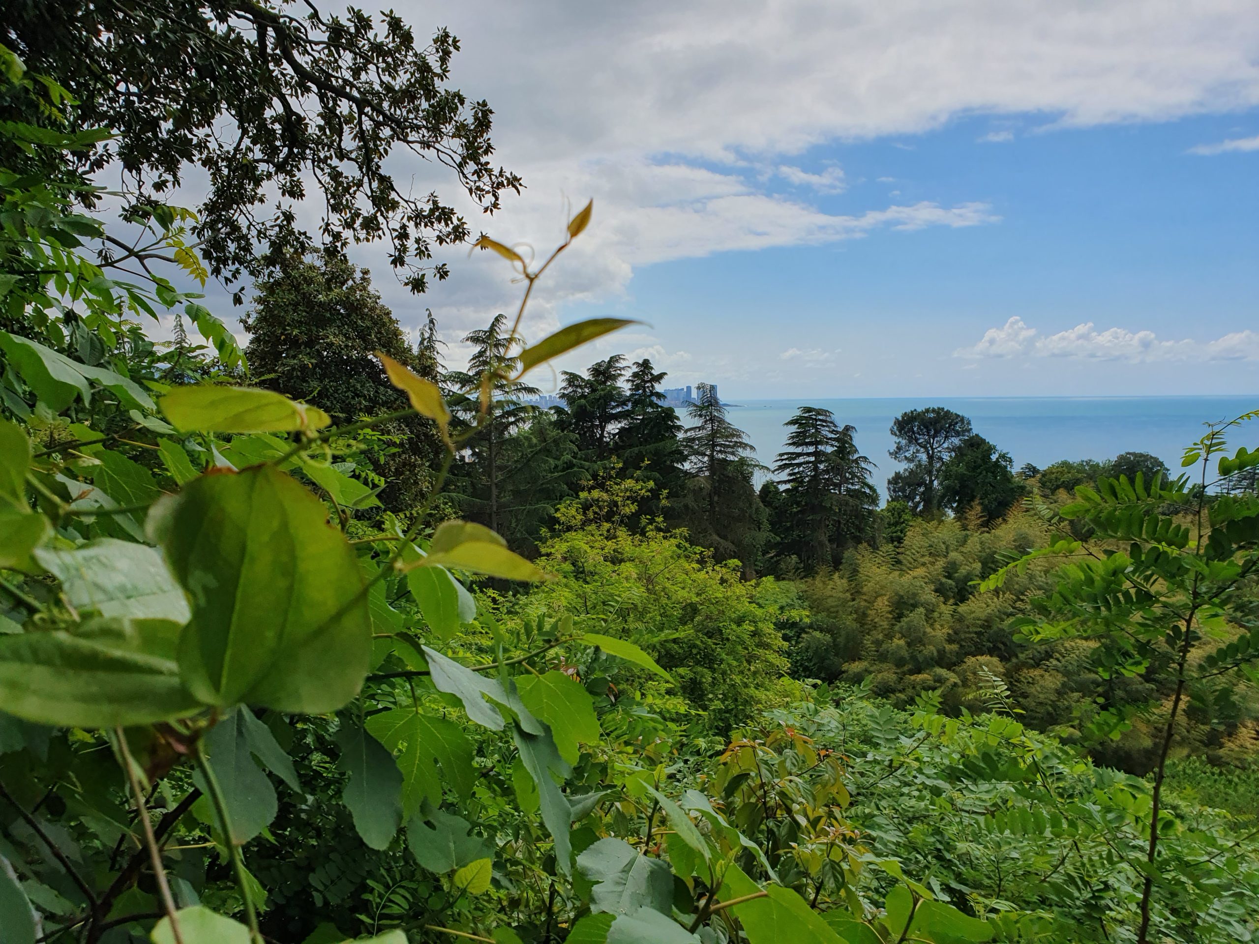 вид на чёрное море в Зелёном Мысу